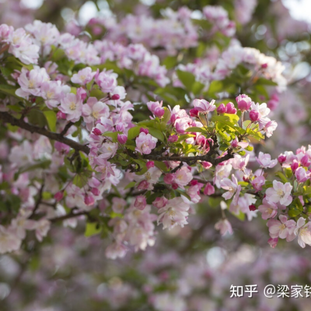 感受生活的美