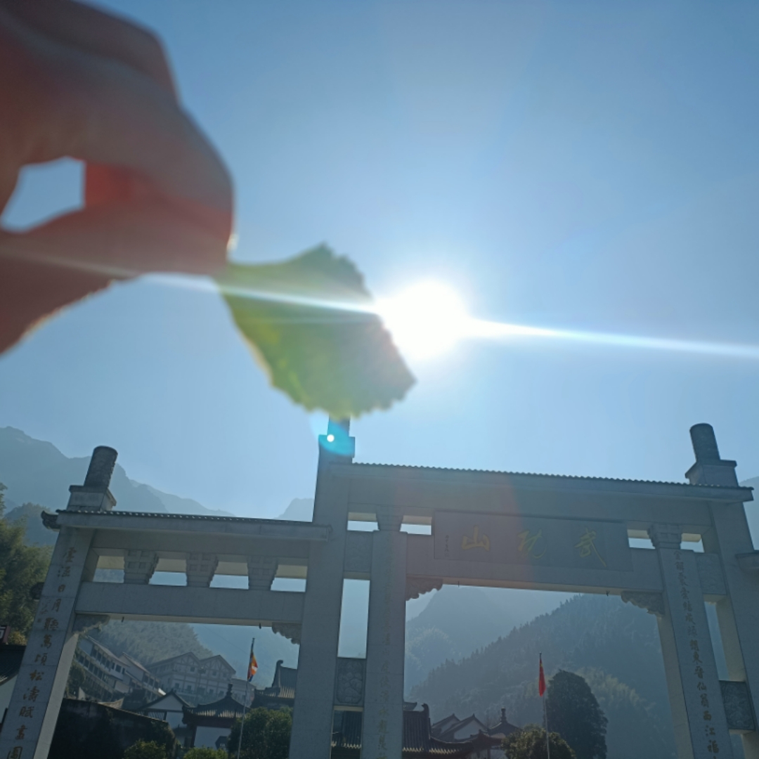自我