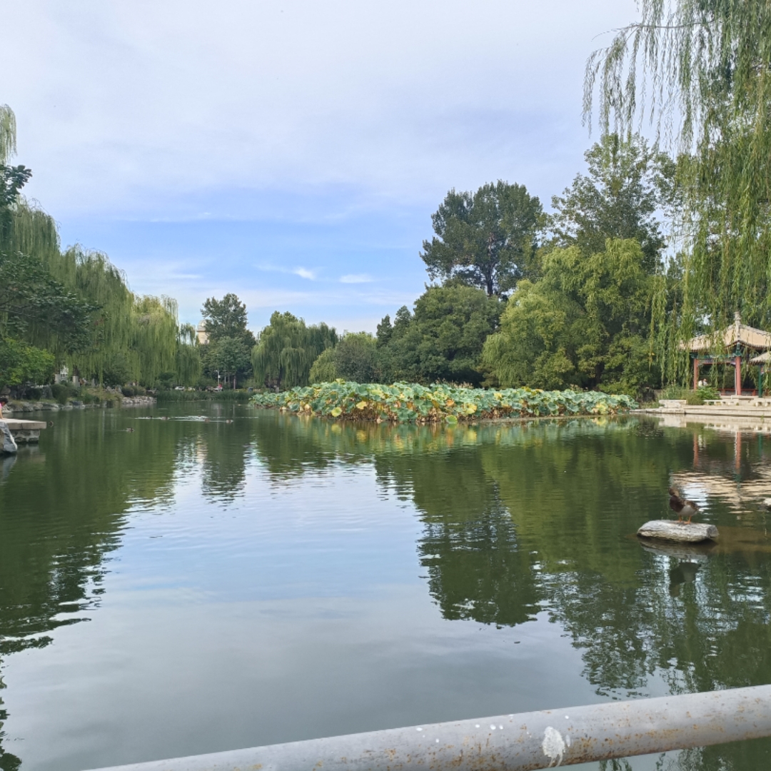 小学文学常识