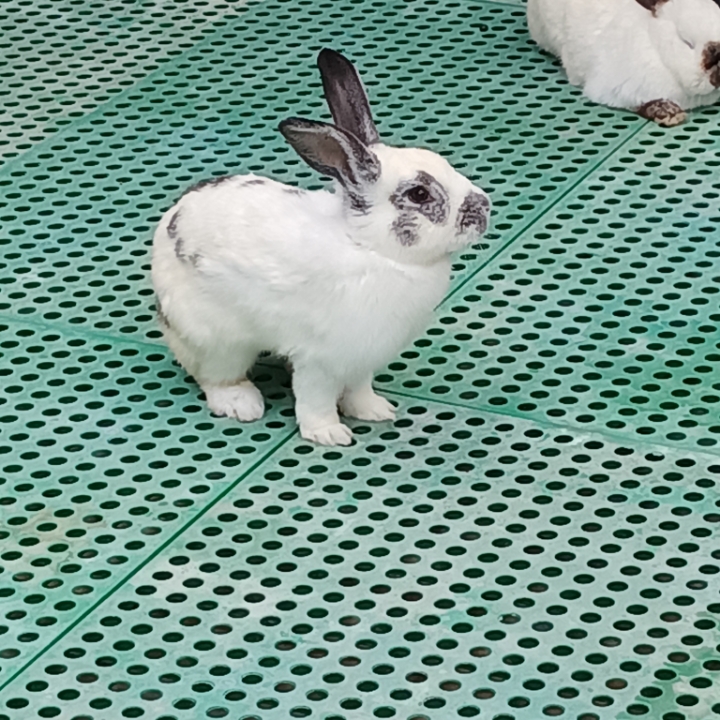 潇潇洒洒专辑