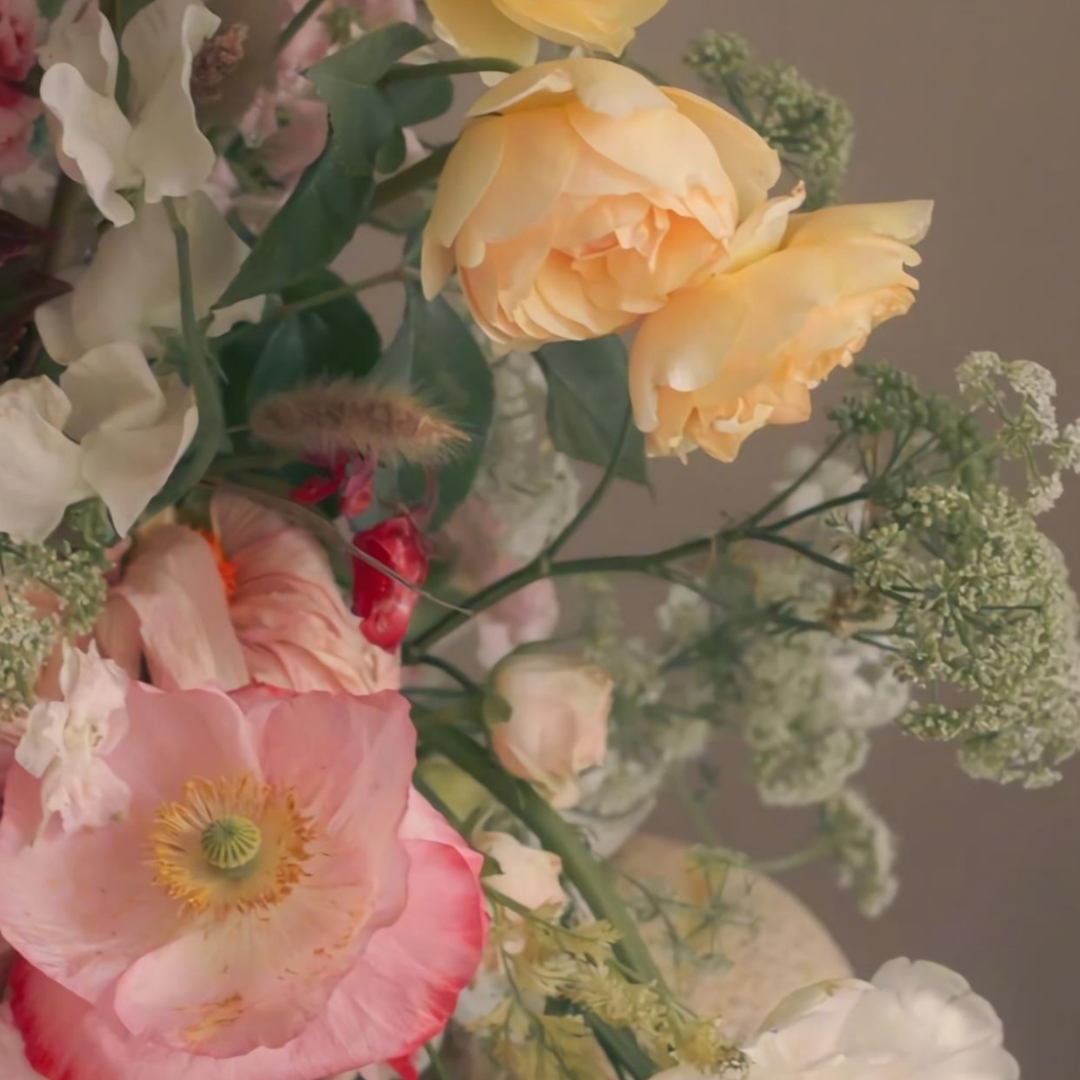 《优美散文集》