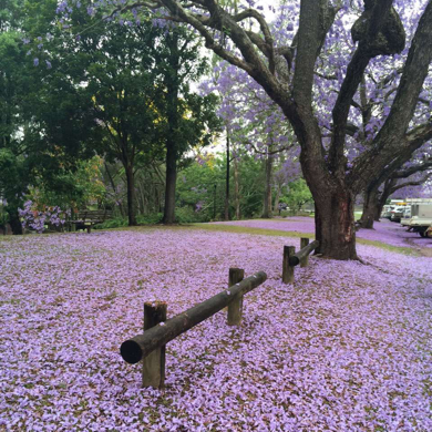 天轻色等烟雨