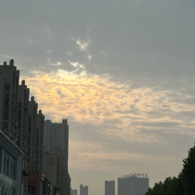 羊皮卷