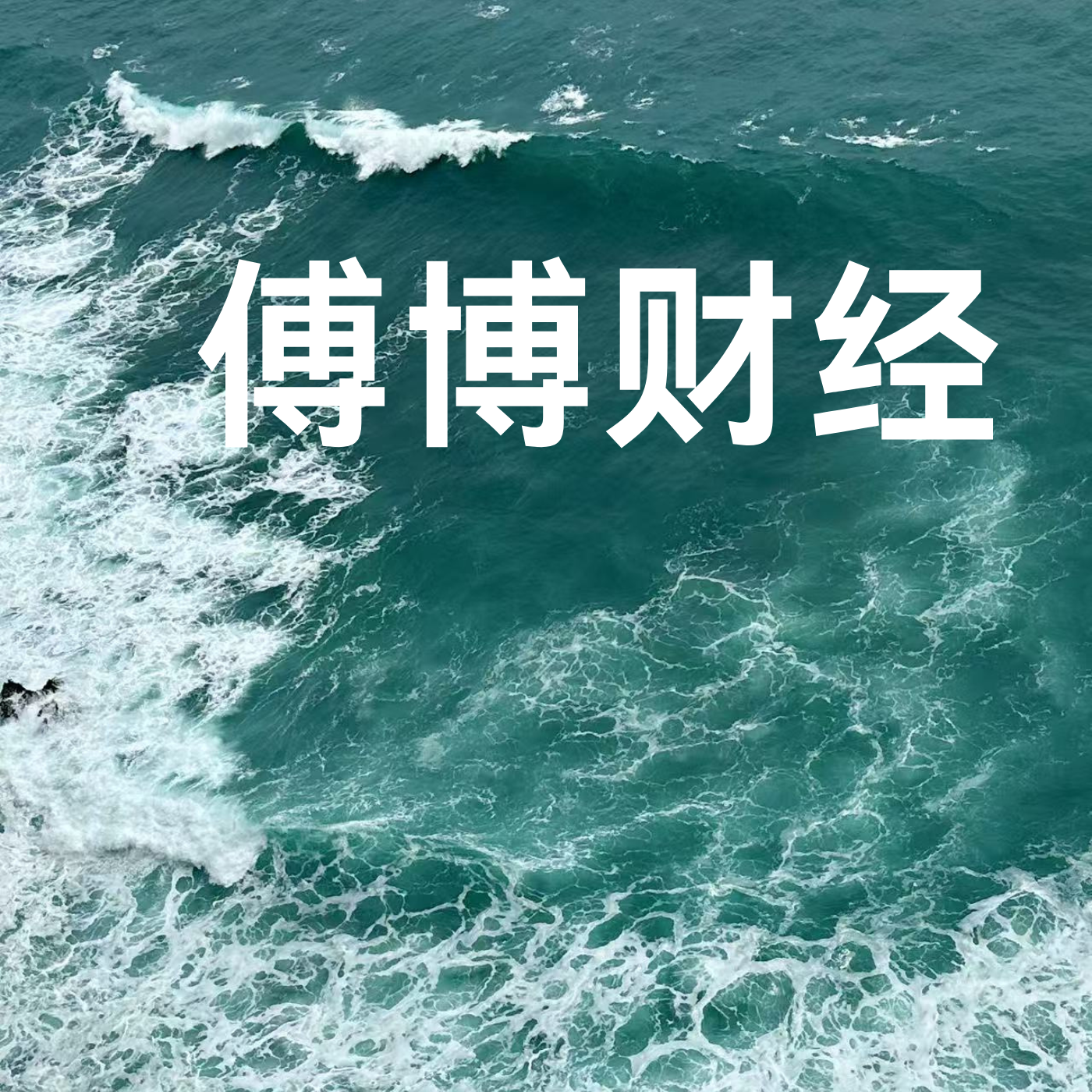 傅博财经