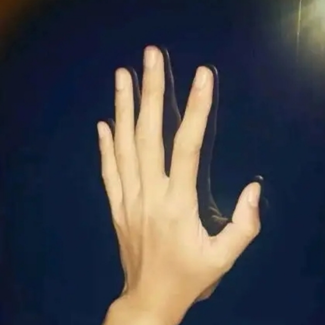 我来了