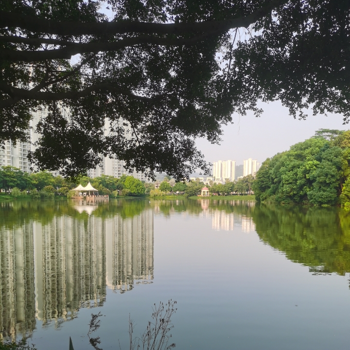 全民朗读