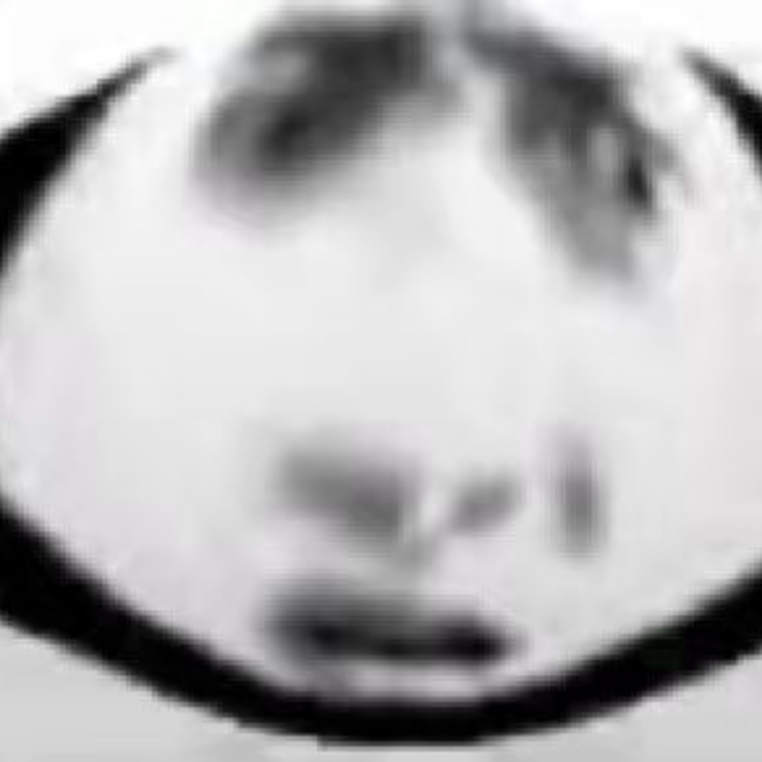 贯口