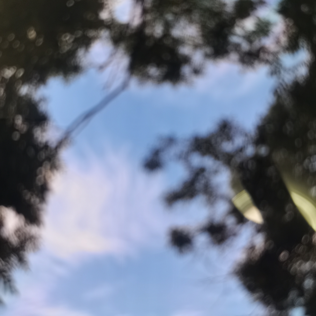 我的随性小记