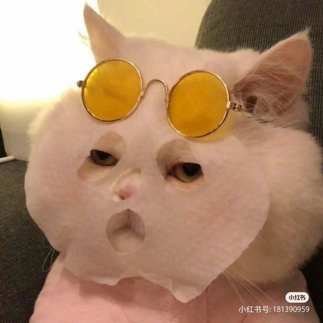 优秀干部
