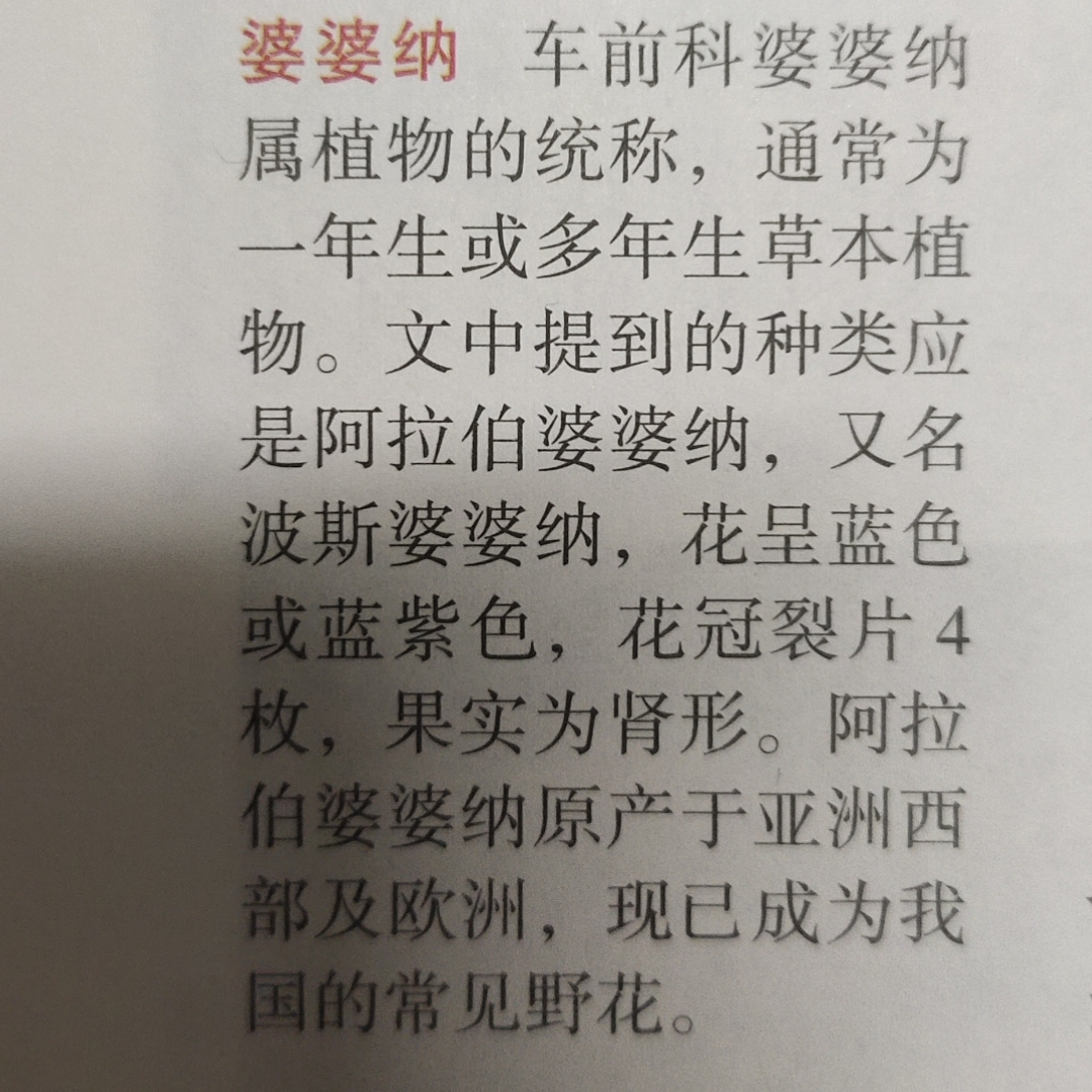 春天的偶遇