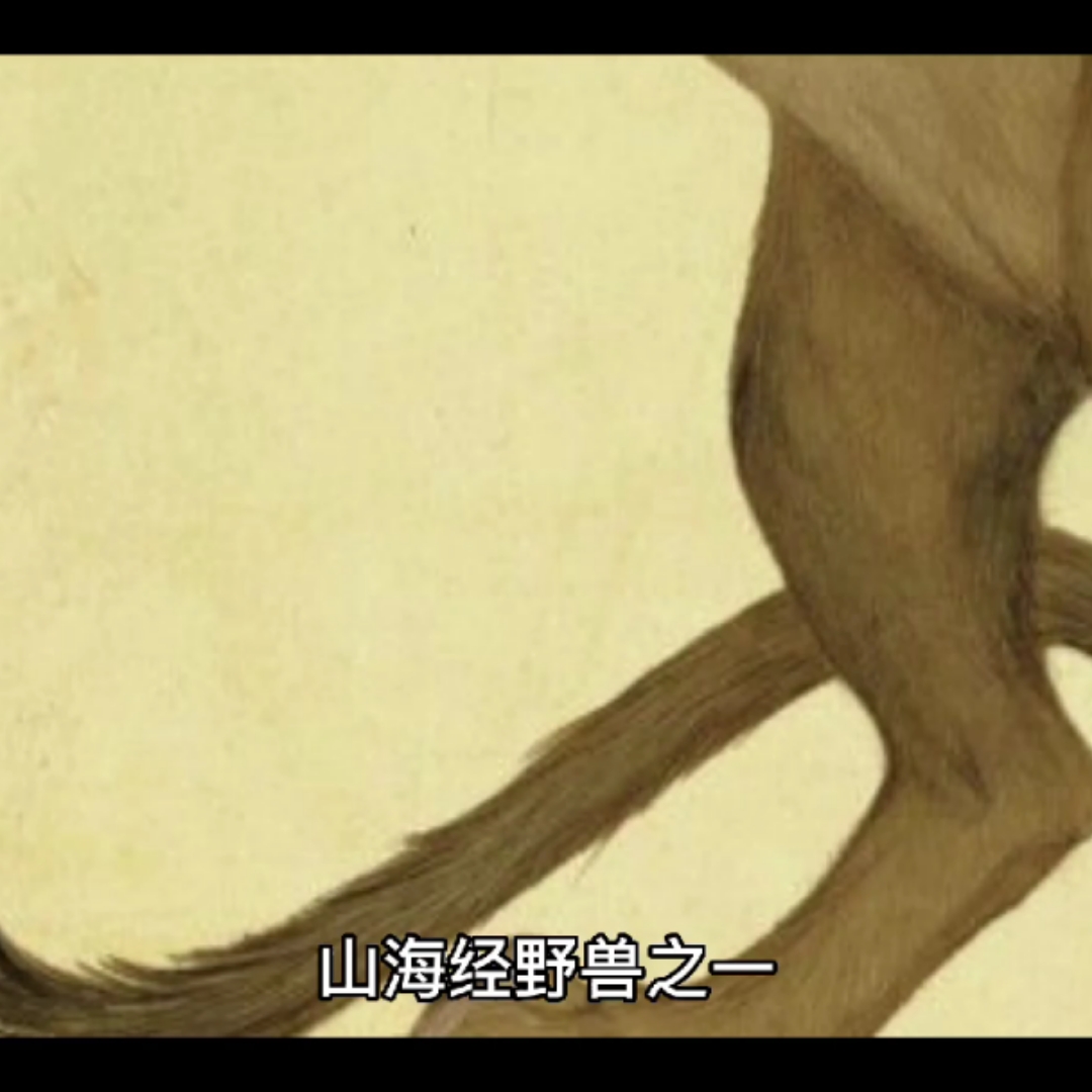 山海经异兽录