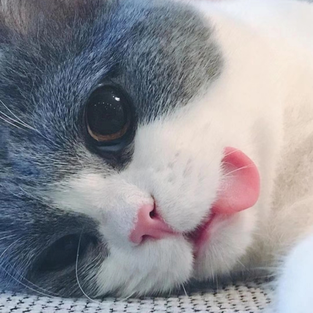 情感语录