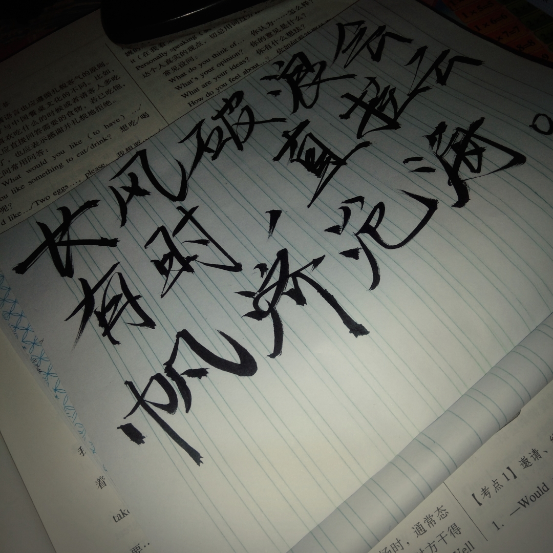 每天一句英语金句积累