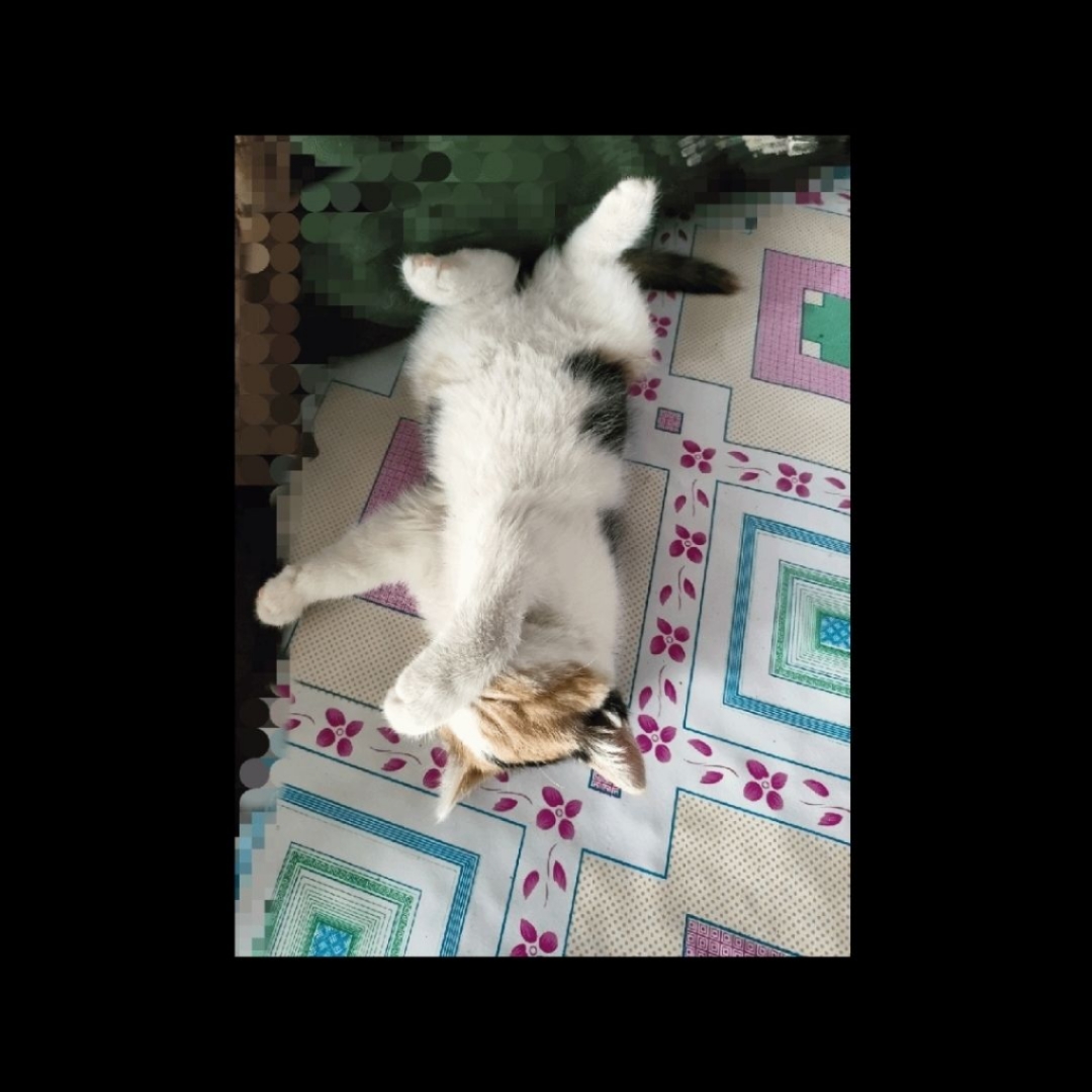 儿童录音