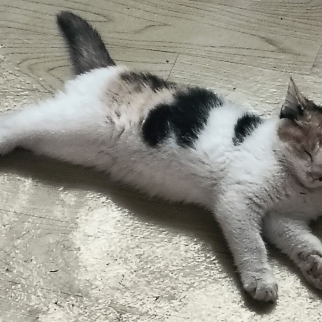 录音