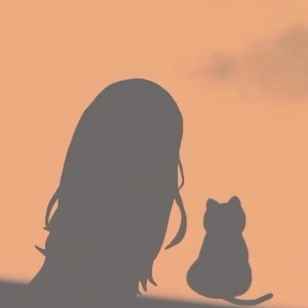 仙芙不浪漫
