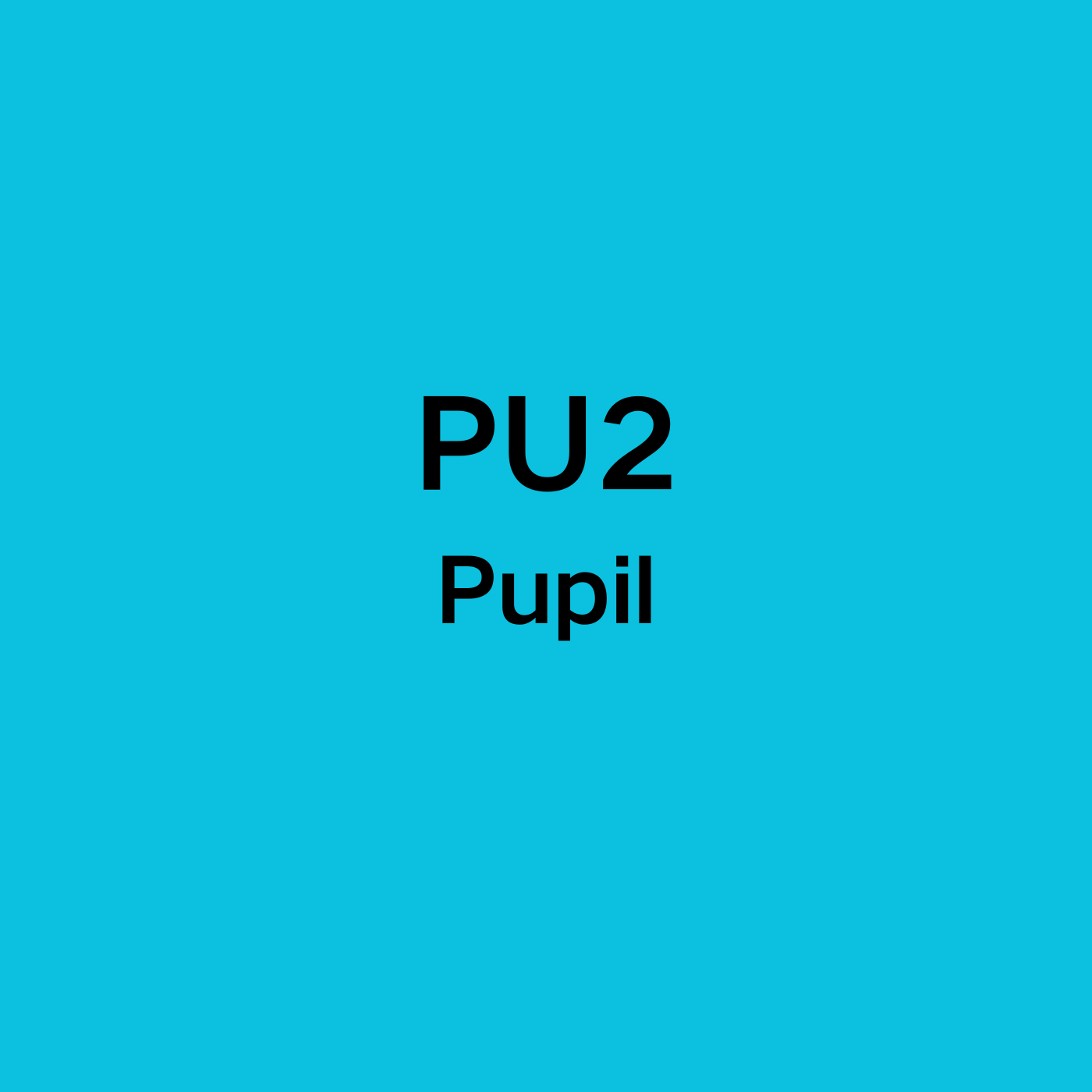PU2-Pupil