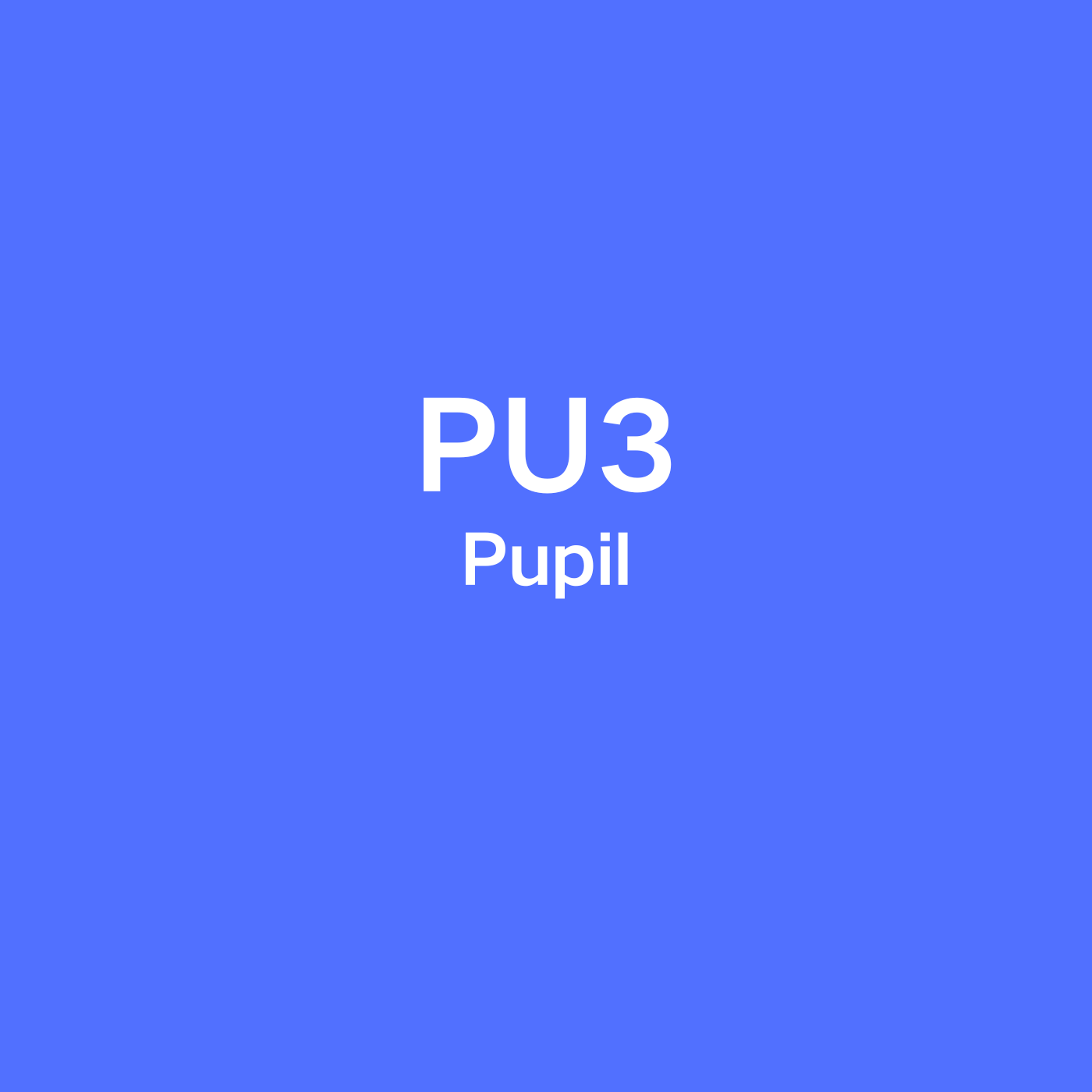 PU3-Pupil