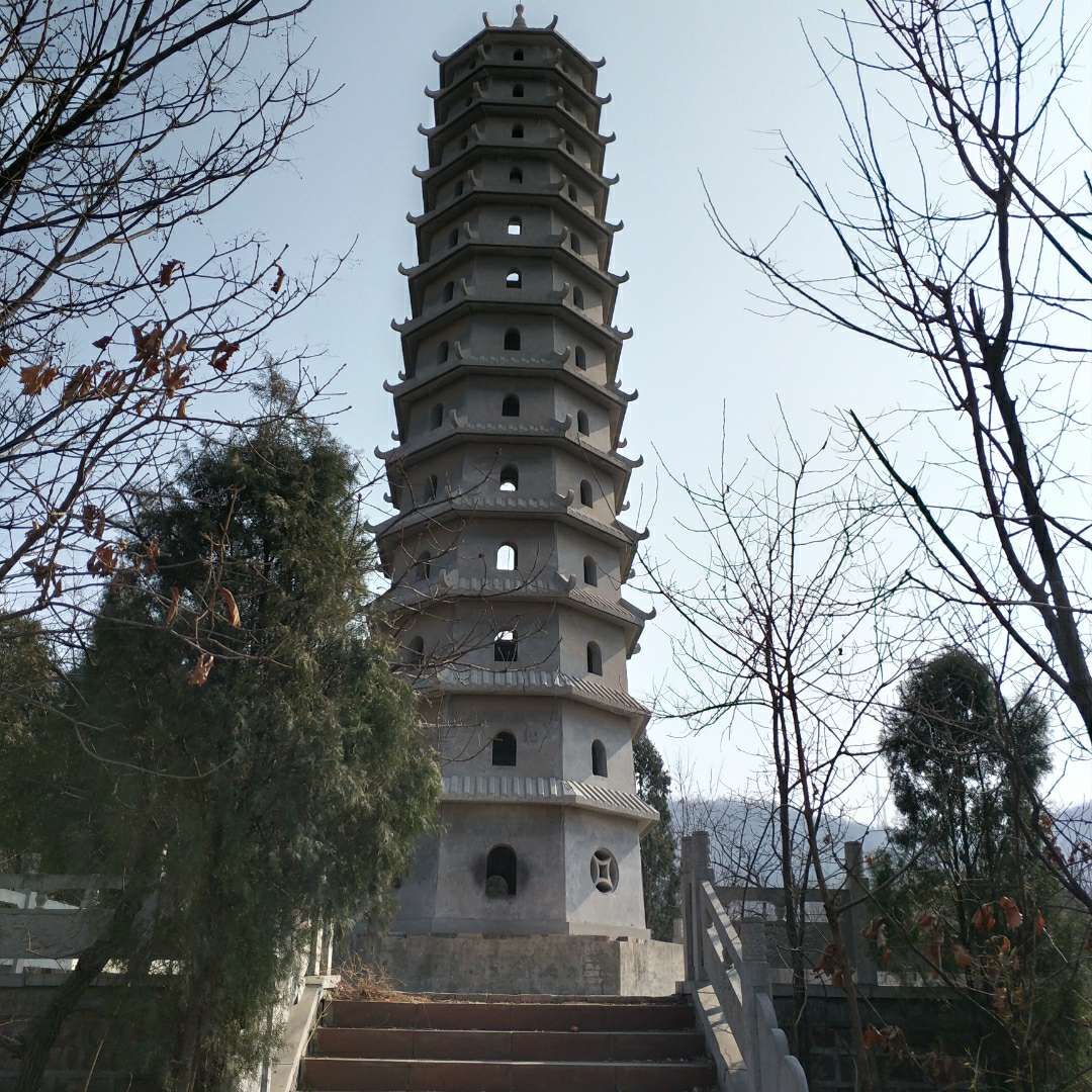 爱说的哑巴