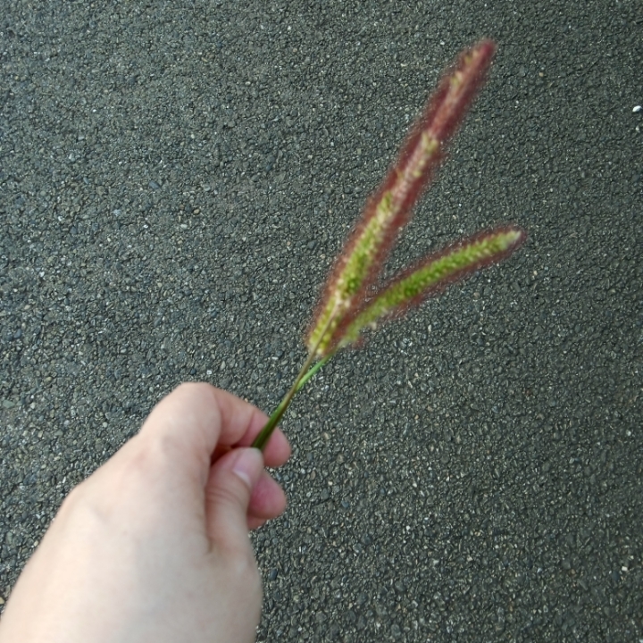 坦然前行