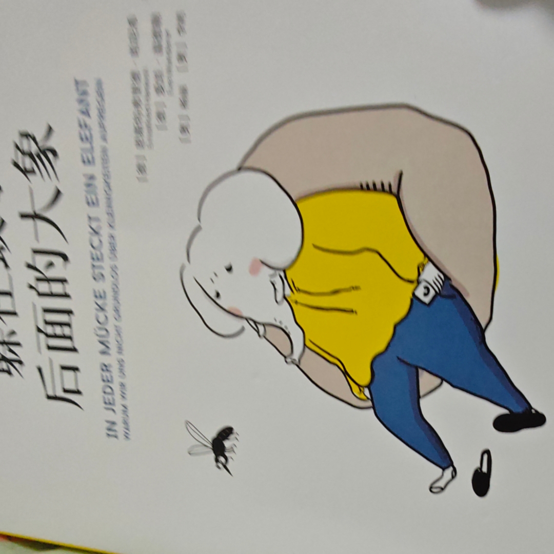 躲在蚊子后面的大象