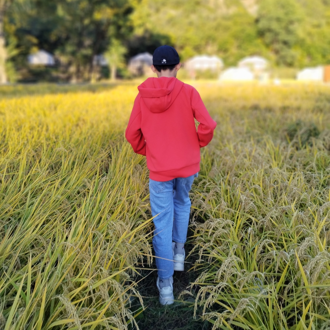 用智慧养育内在小孩