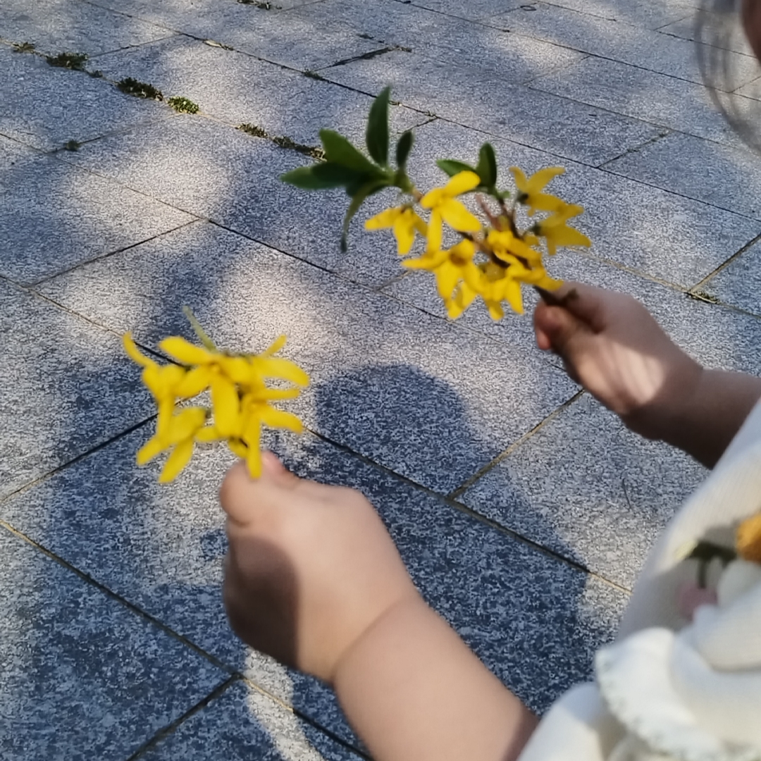 儿童绘本
