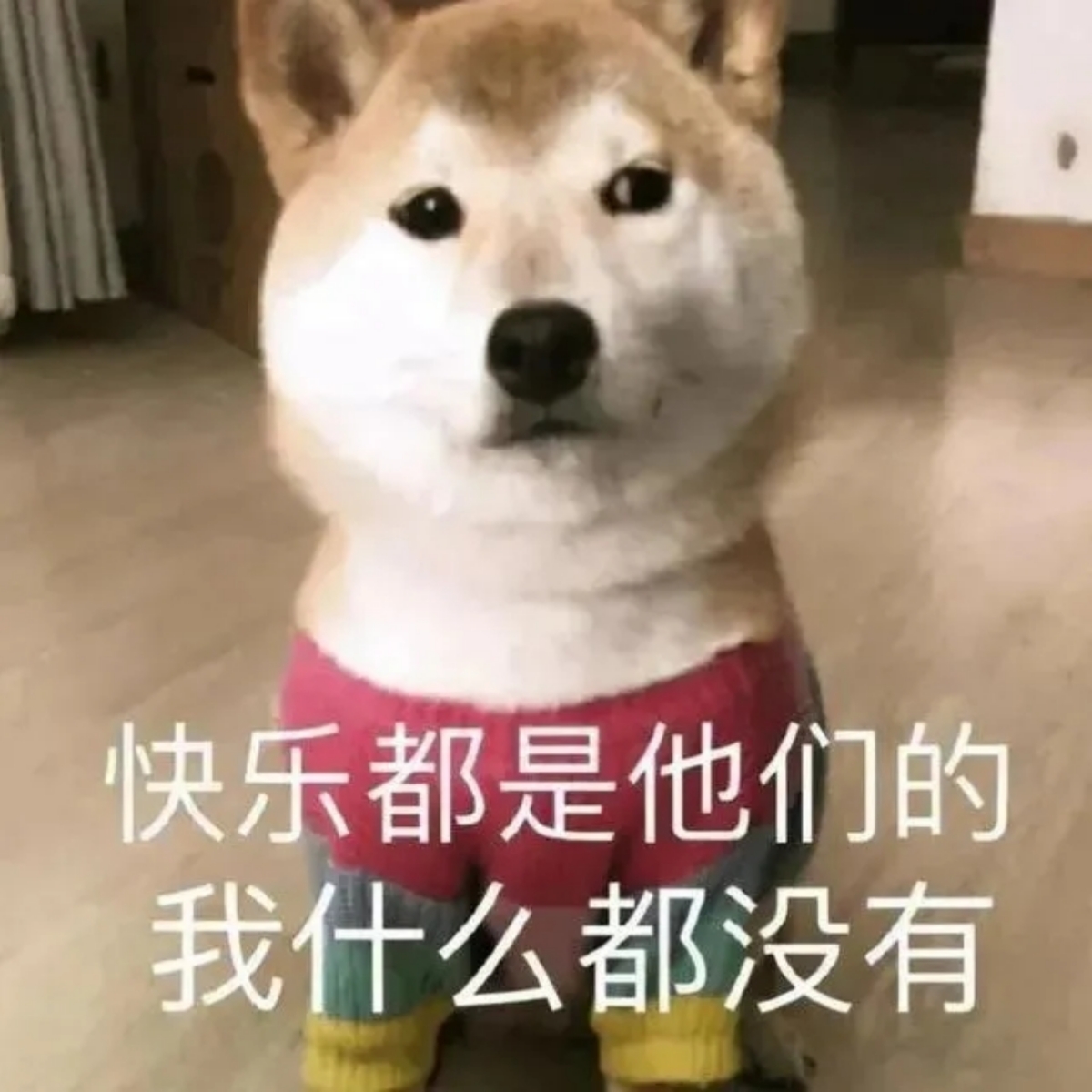 试音1