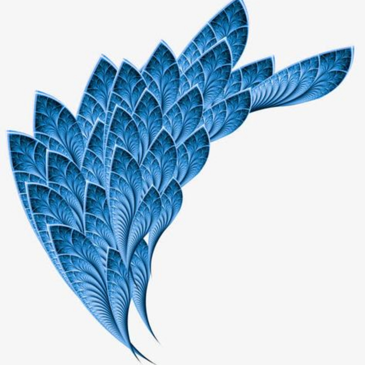 一支羽
