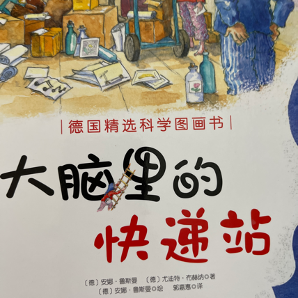大脑里的快递站 大脑里的快递站