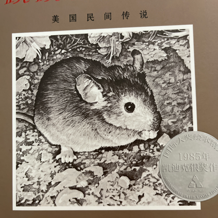 跳跳鼠的远方 跳跳鼠的远方