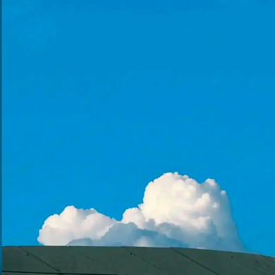 靑山Top