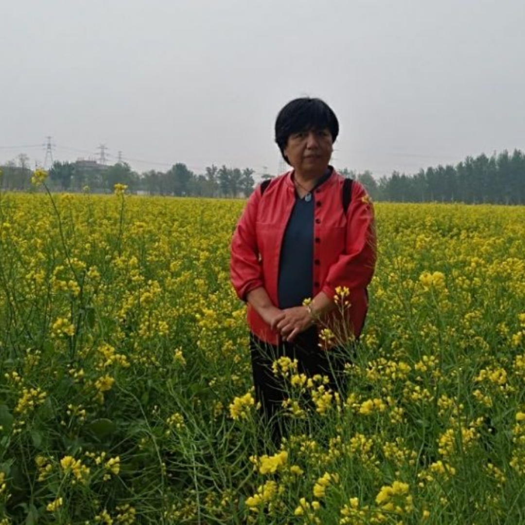 美文诗集