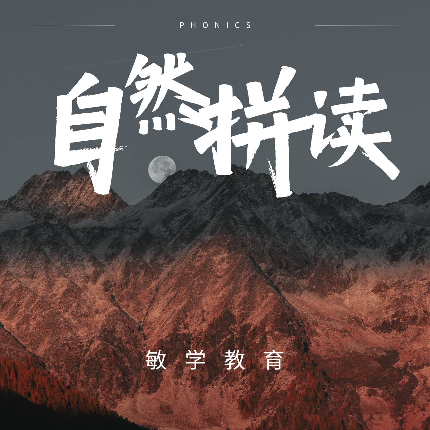 自然拼读课程 L1