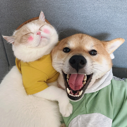 静下来
