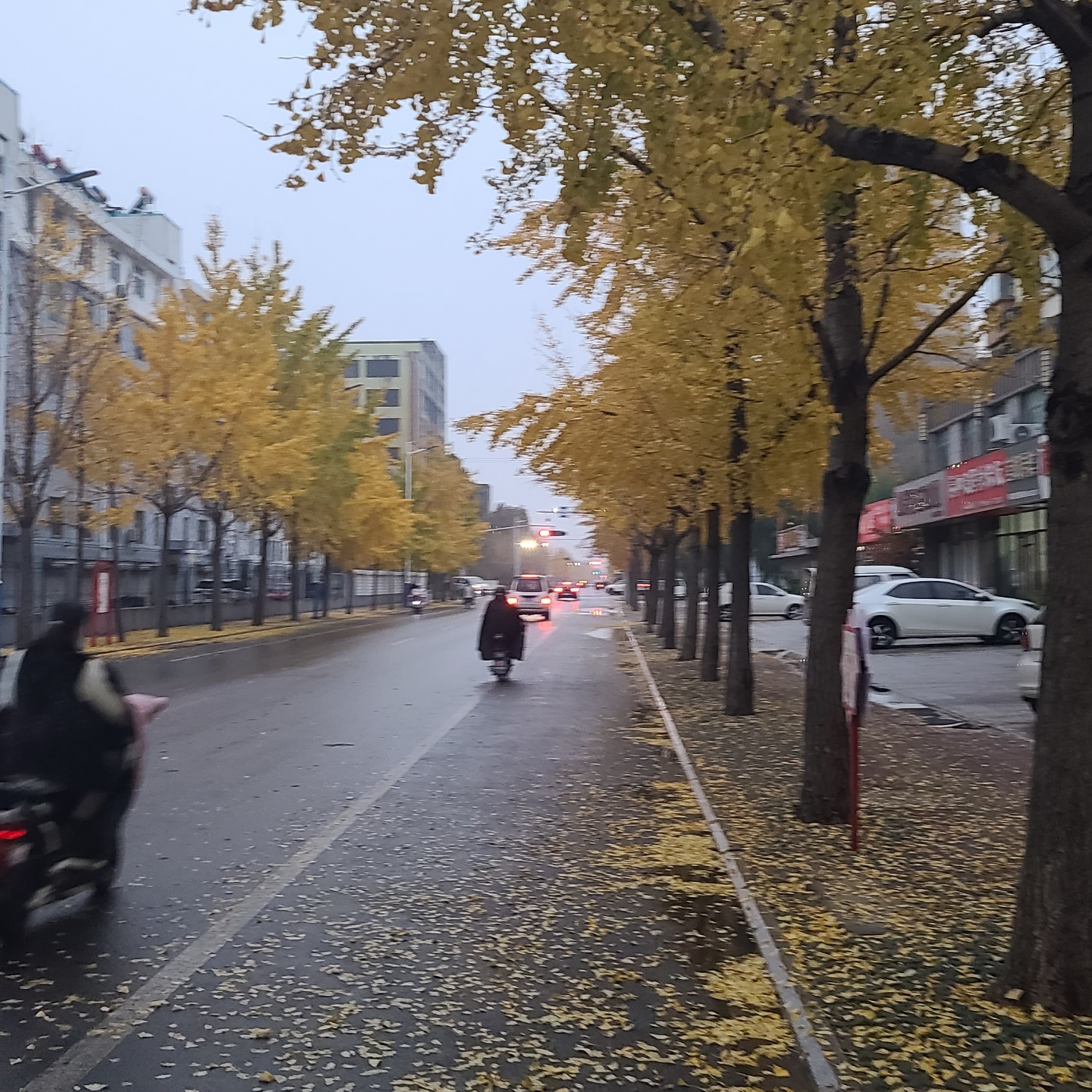 阅读经典