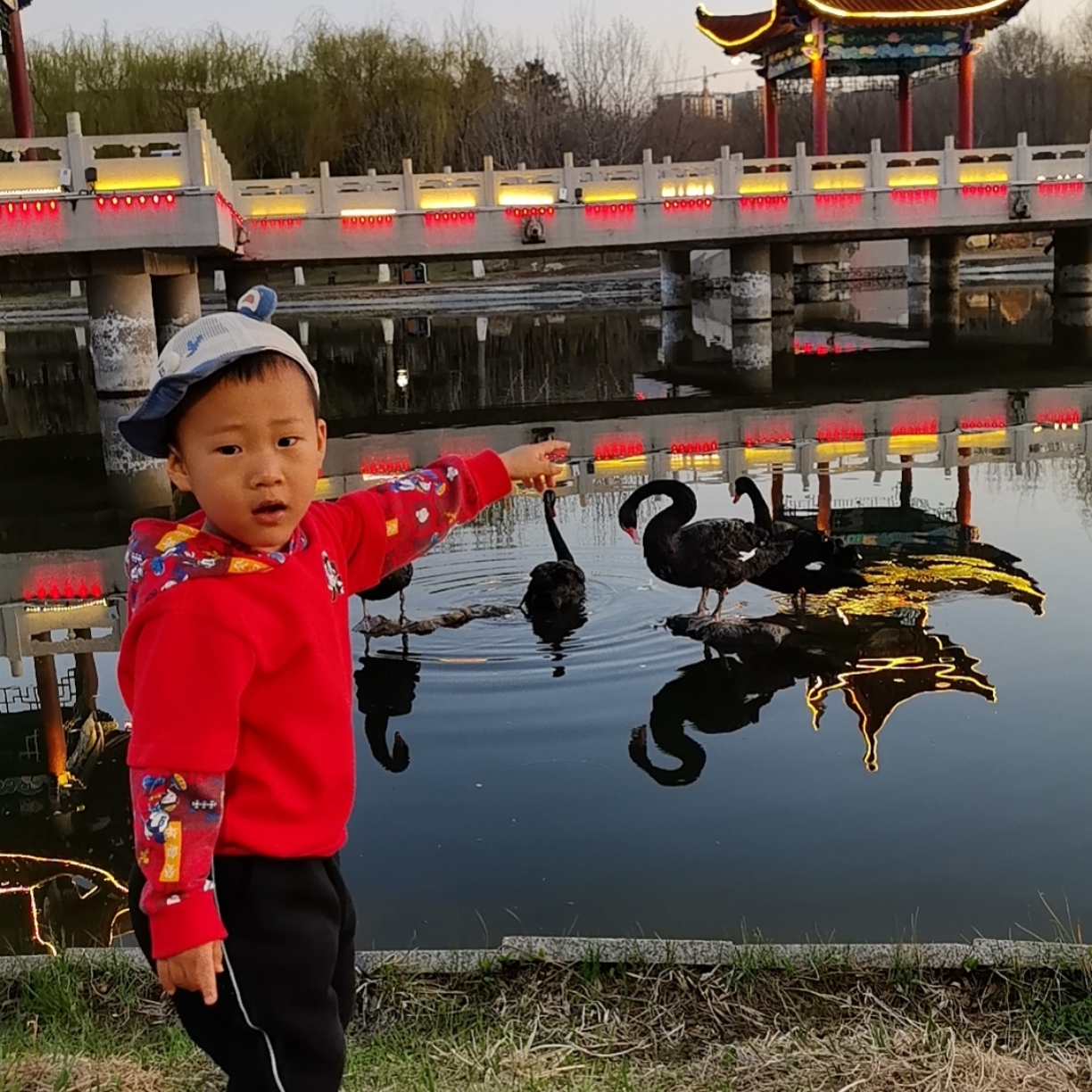 洛水29