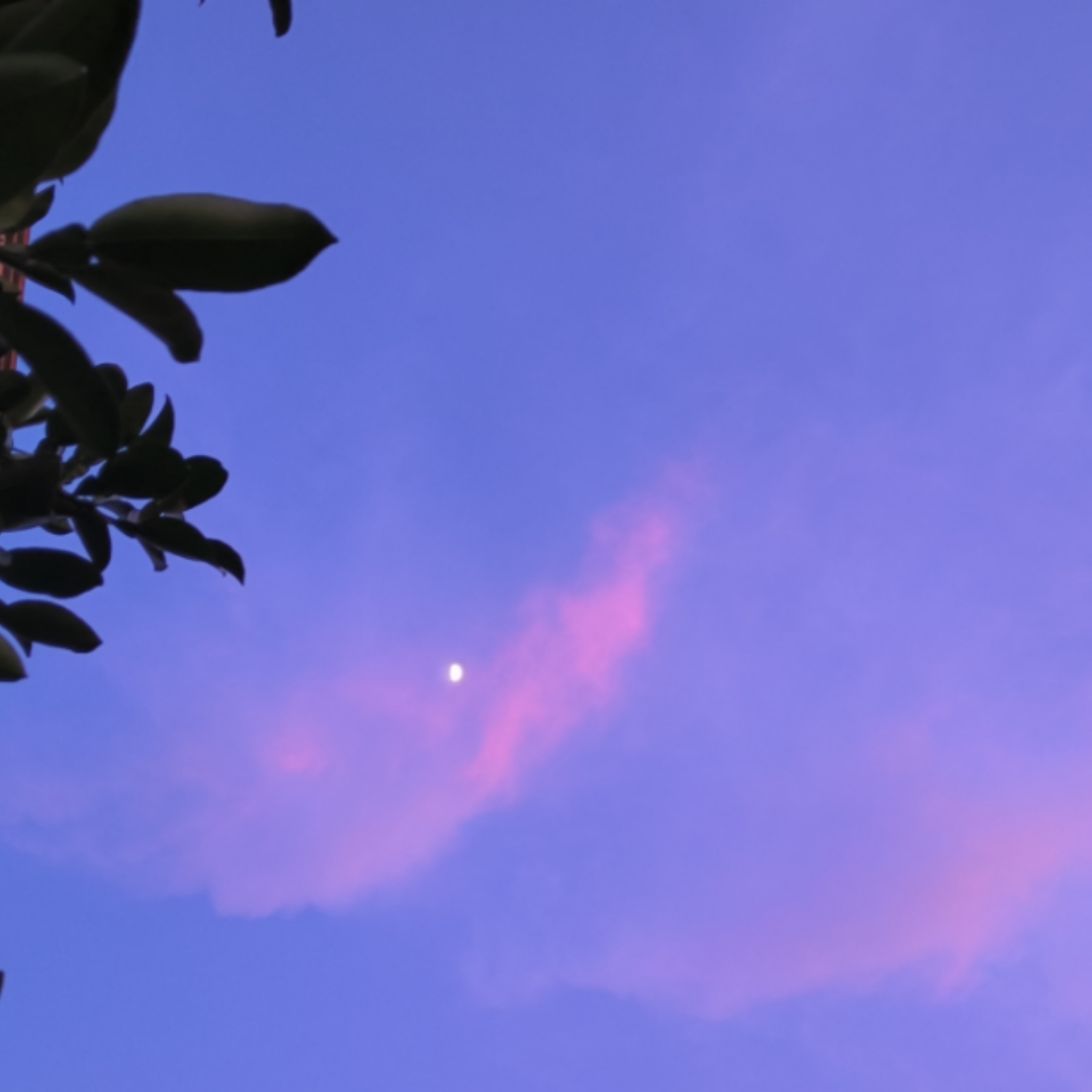 夜读