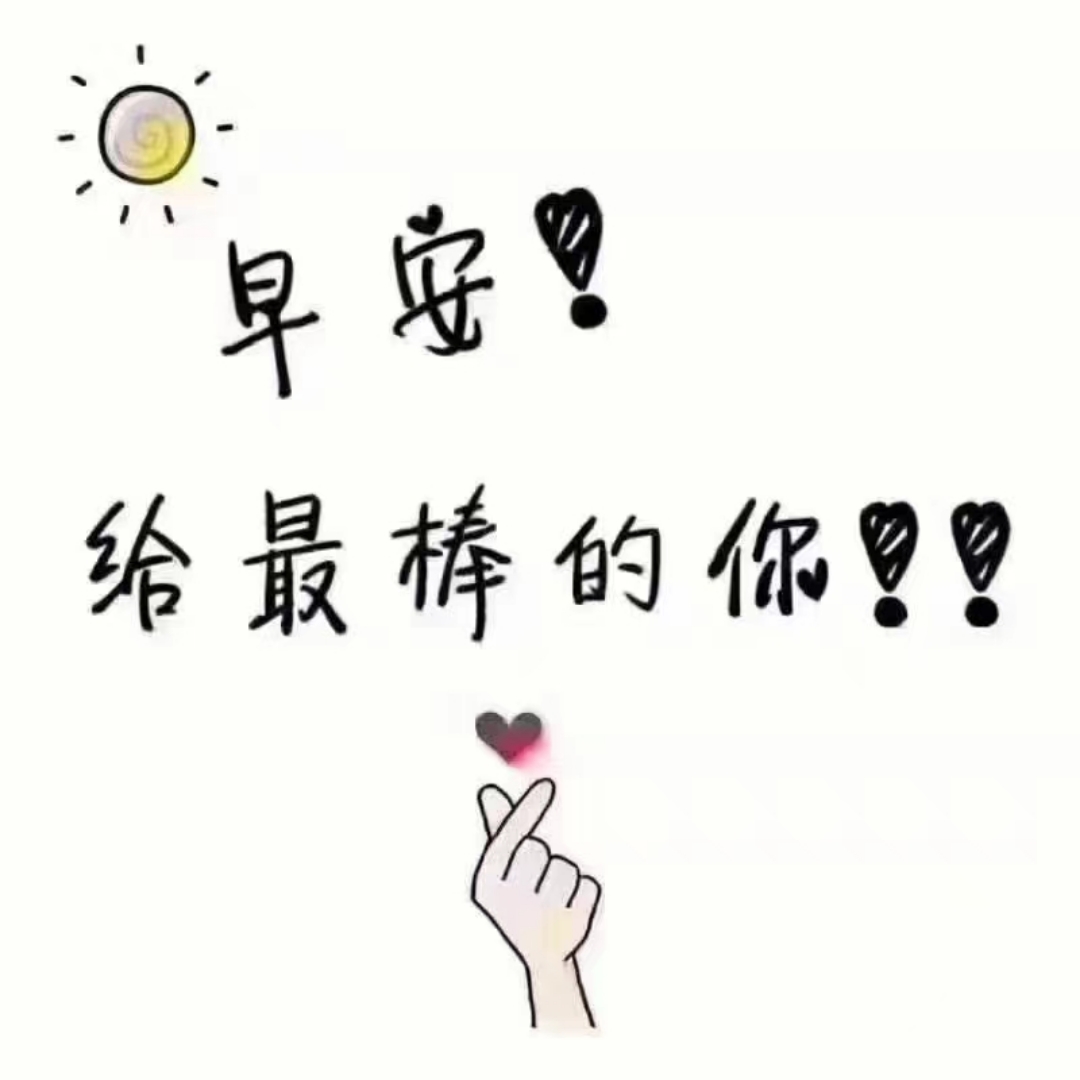 不理