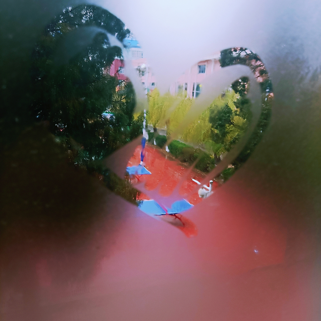 分享