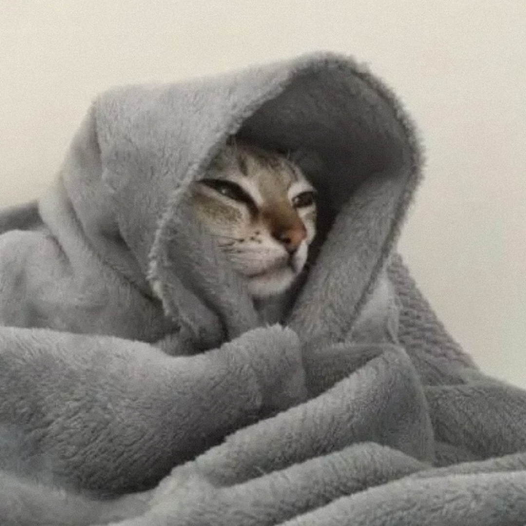 猫宁98