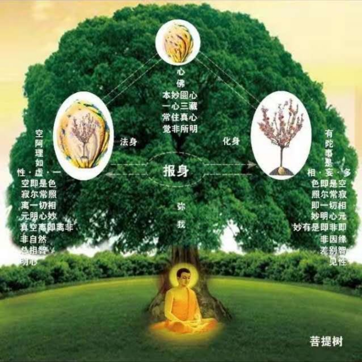 《觉悟本心》
