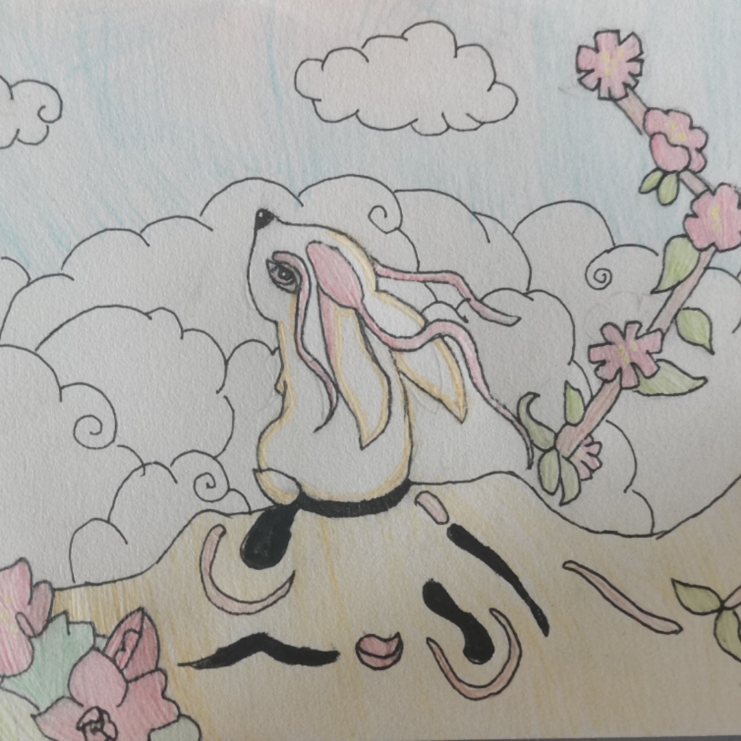 脱口秀