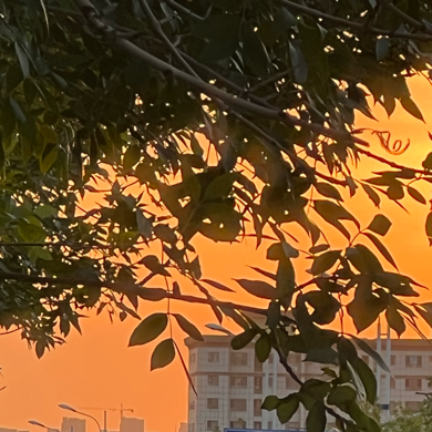 总有生命为治愈你而来